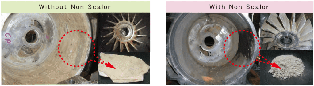 Before and after use of non-scalor
